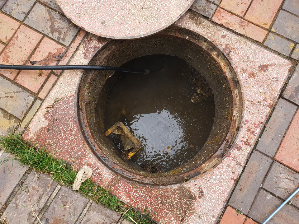 3695750758_iDM0AoZW_d09f1fd42db0c76eabcbb97715ee5aa444032978.jpg 이미지크게보기